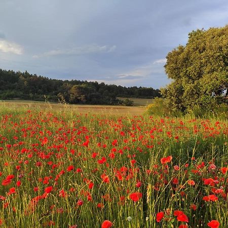 Gite A La Campagne, Proche Carcassonne Alairac ภายนอก รูปภาพ